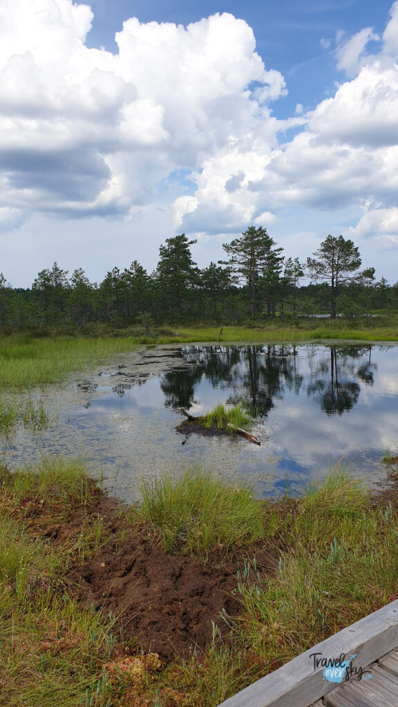 park-narodowy-lahemaa-estonia