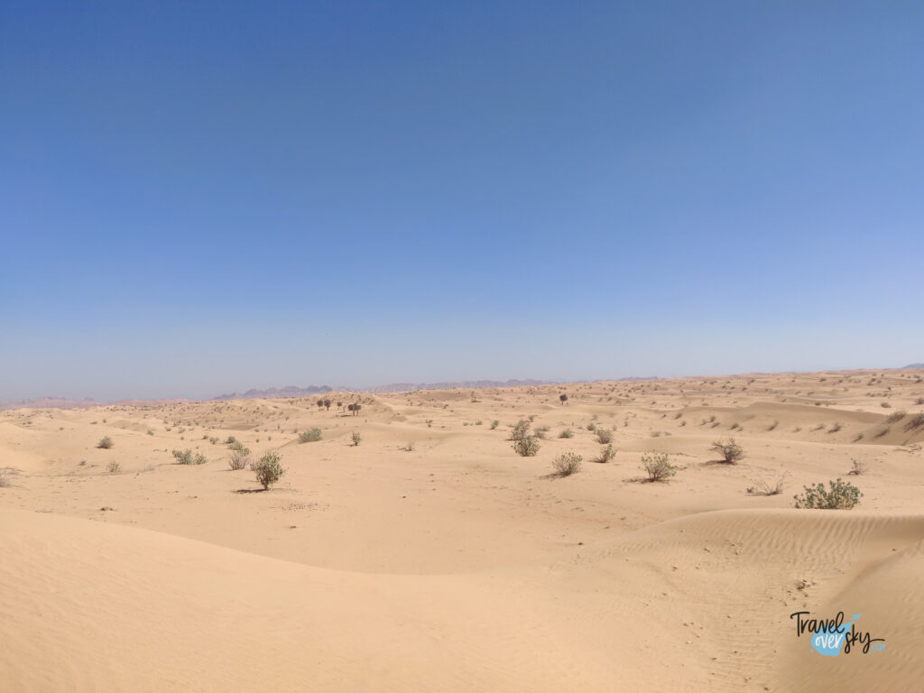 szardża-pustynia