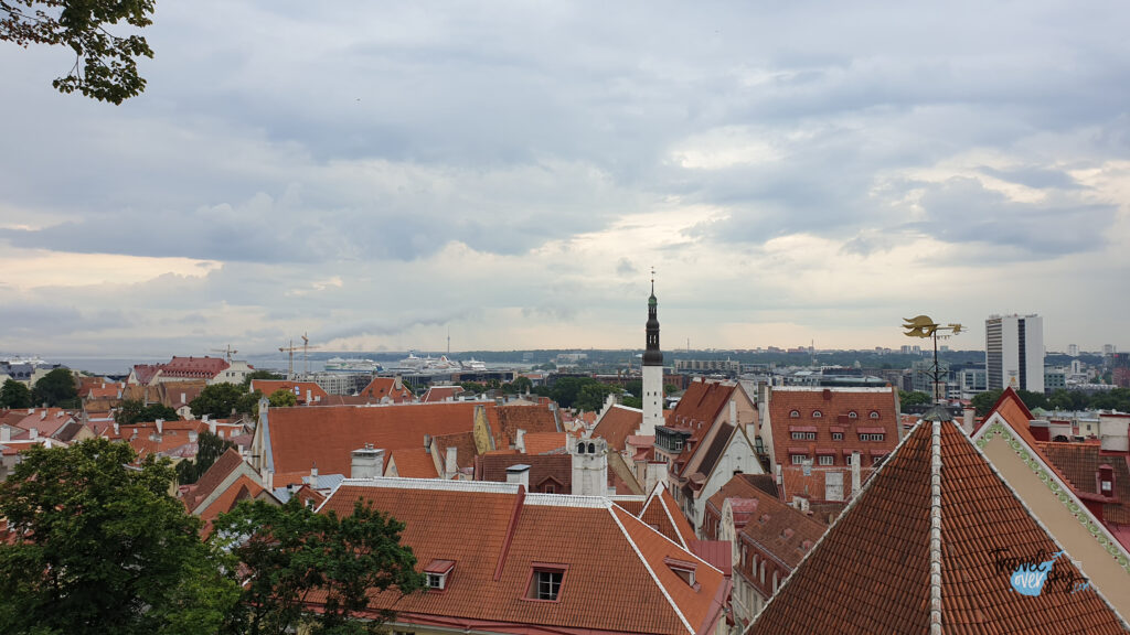 co-zobaczyć-w-tallinie-estonia