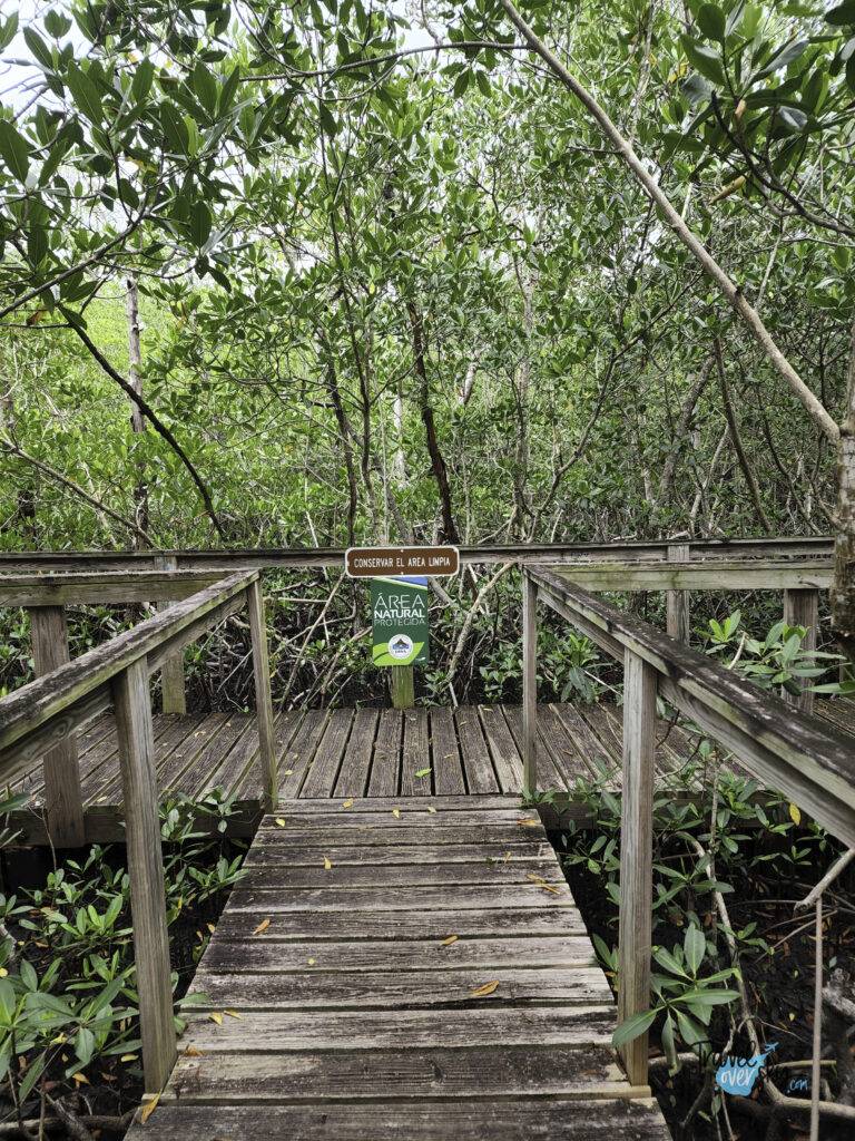 boqueron-portoryko