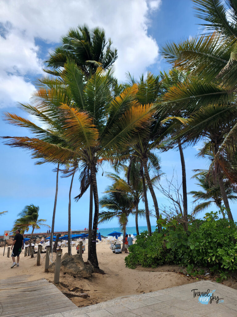 dzielnica-condado-san-juan