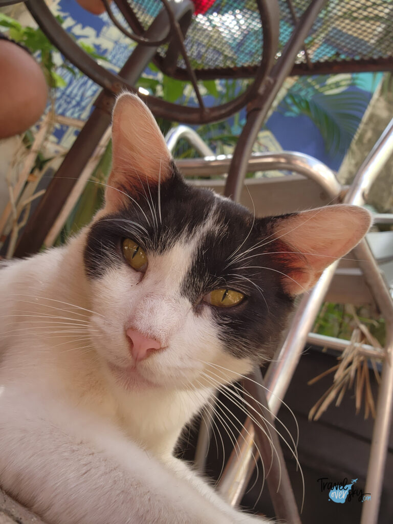 el-patio-del-sole-san-juan