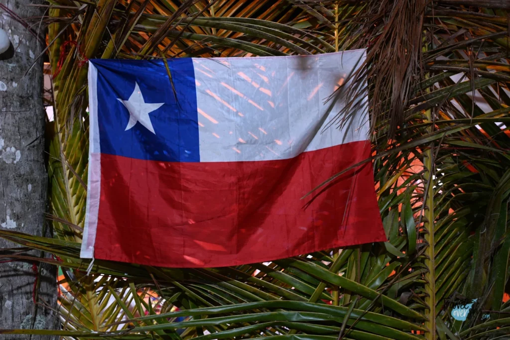 etno-mix-2022-las-terrenas-chile