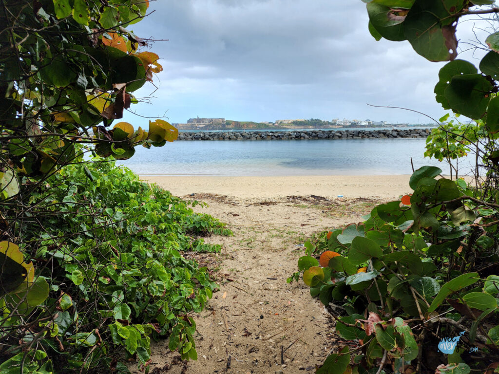 isla-de-cabras
