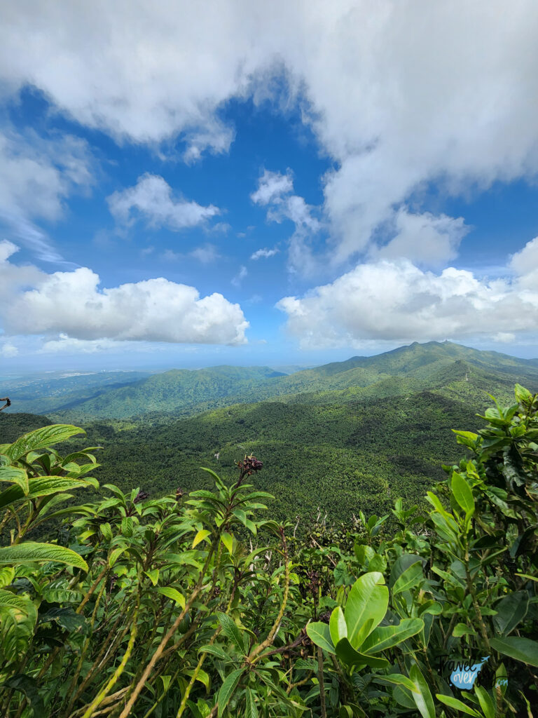 park-narodowy-el-yunque