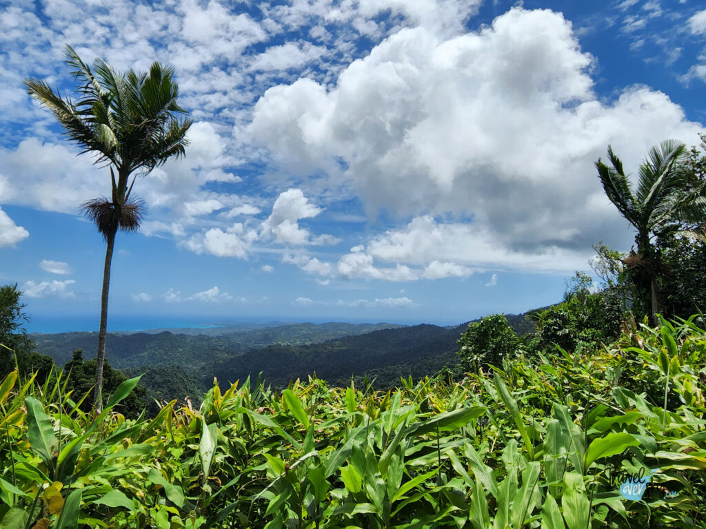 yokahu-tower-park-narodowy-el-yunque