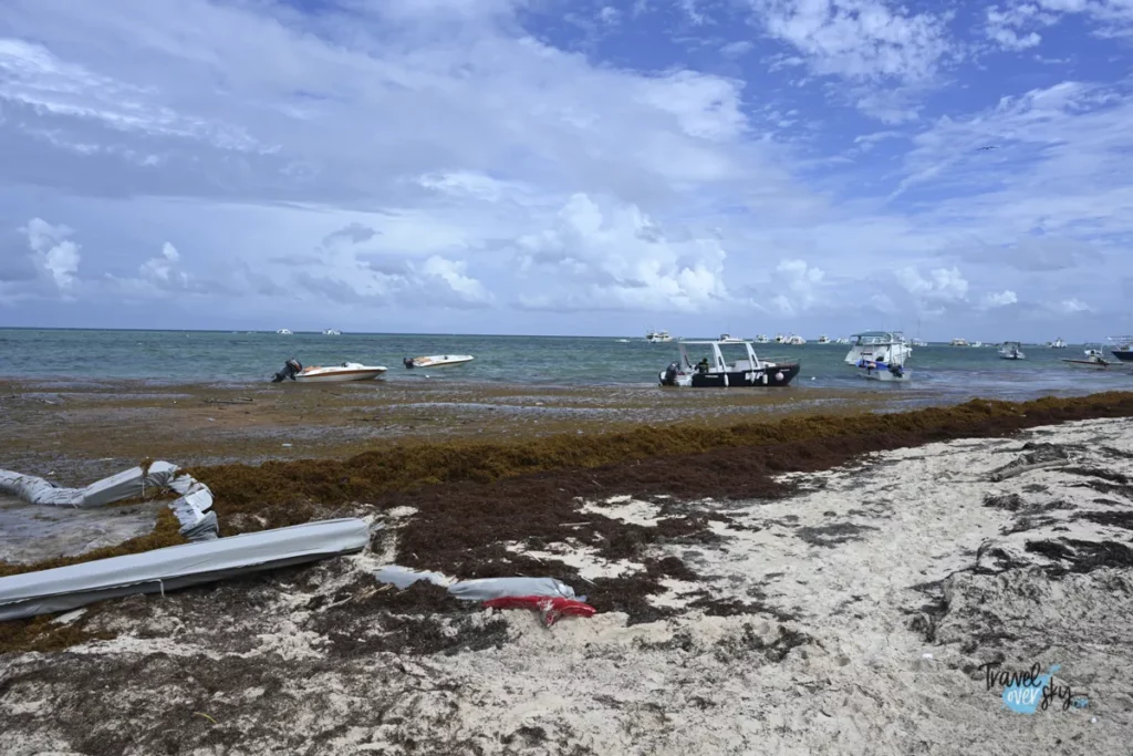 sargazo-dominicana