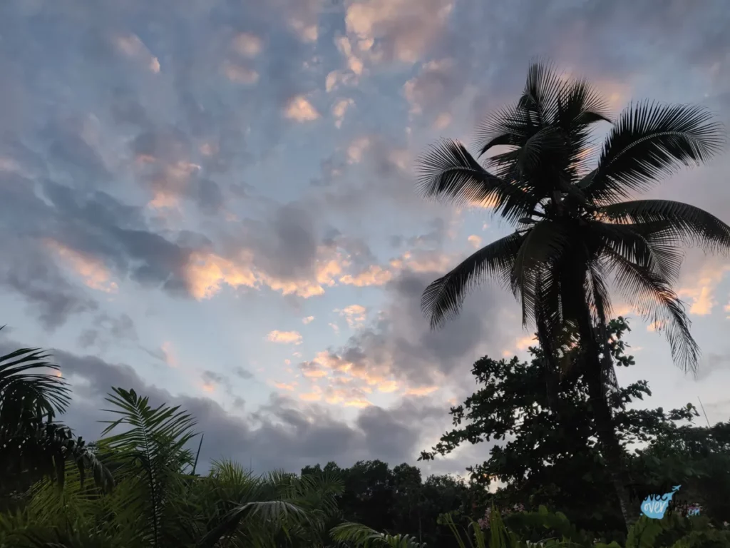 las-terrenas-dominikana