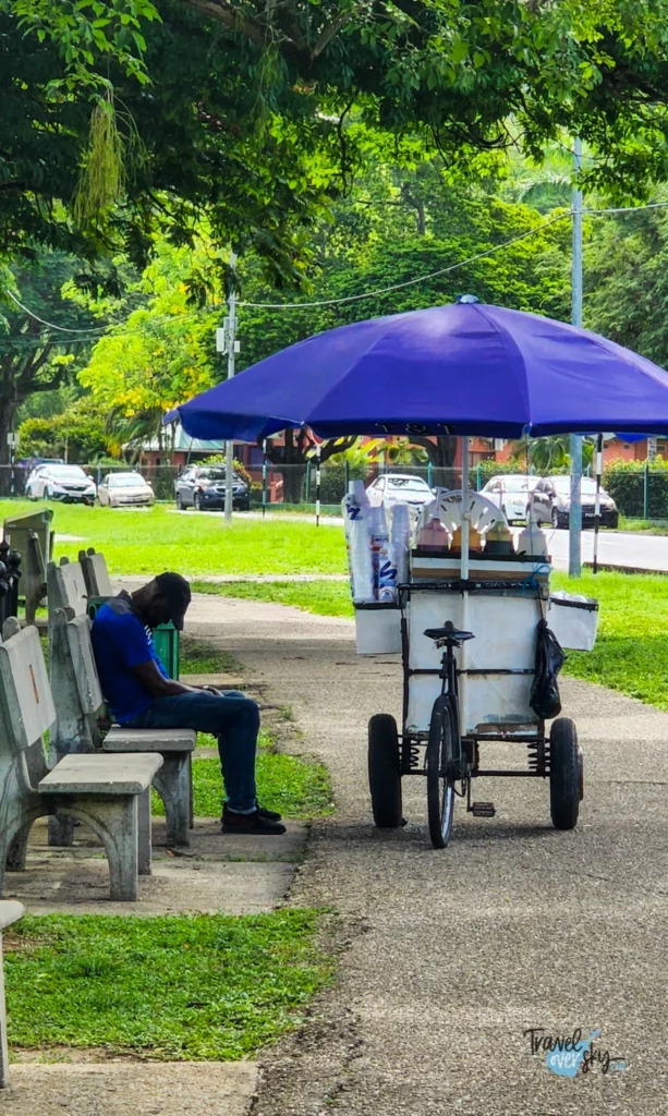port-of-spain-trinidad-and-tobago
