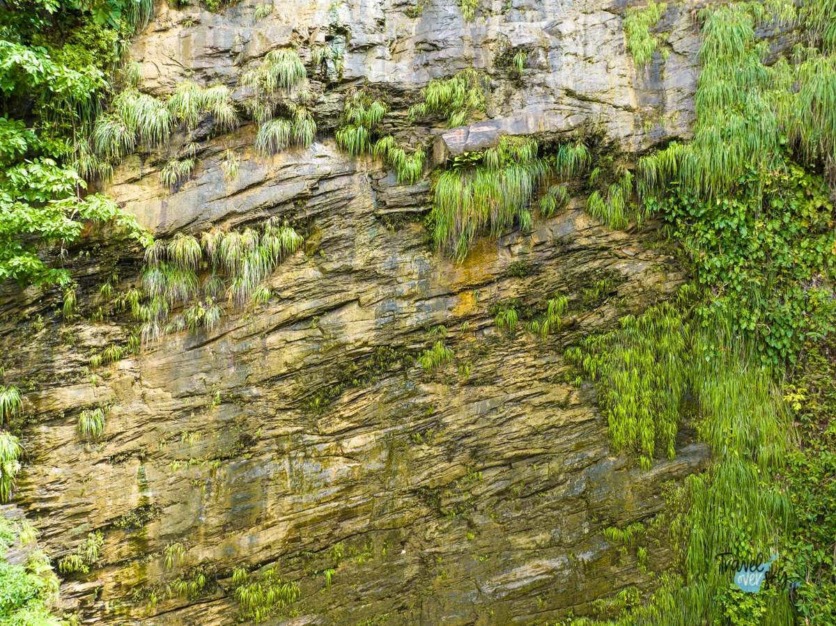 edith-falls-chaguaramas-trinidad-and-tobago