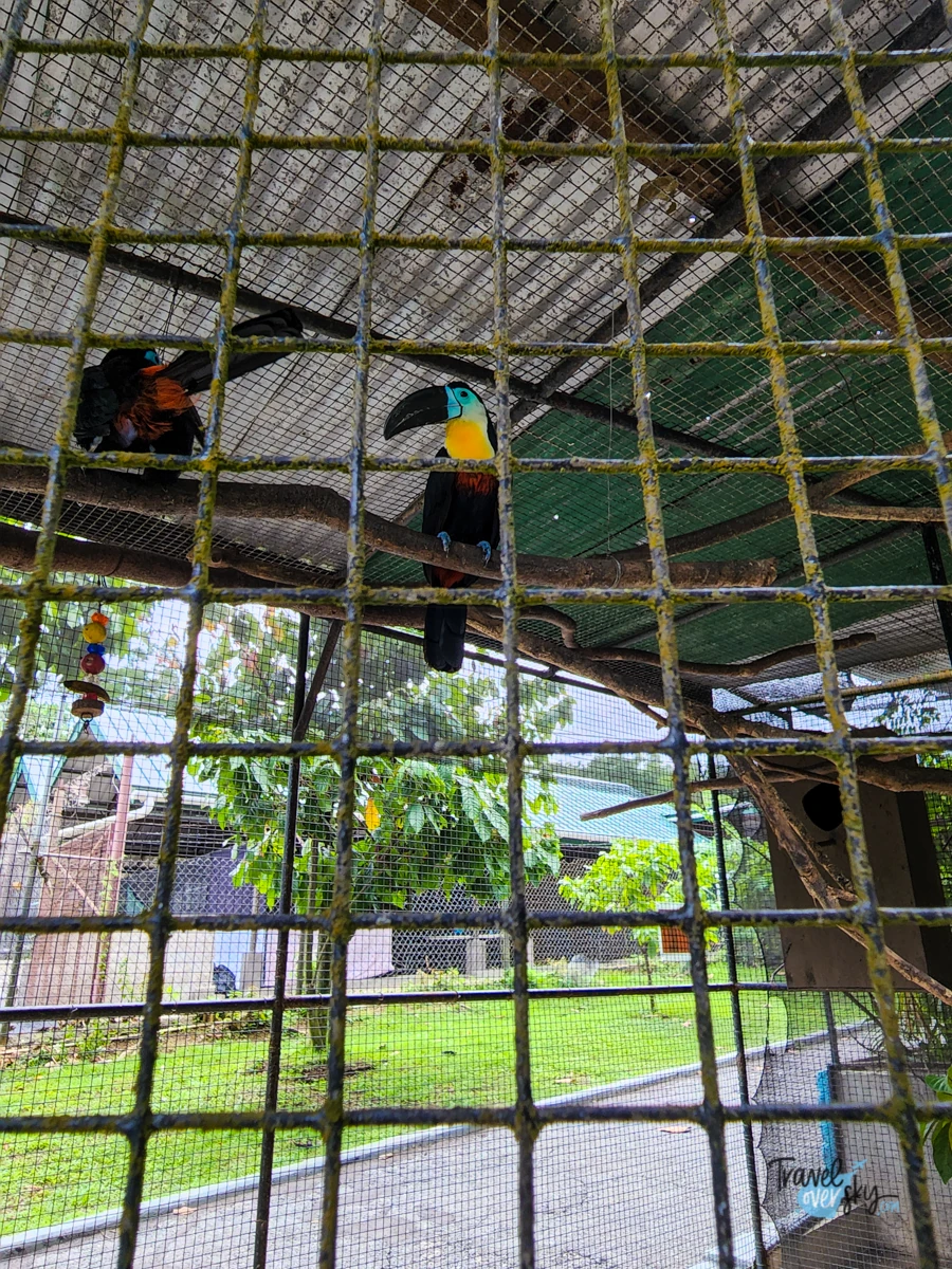 emperor-valley-zoo-port-of-spain-trinidad-and-tobago