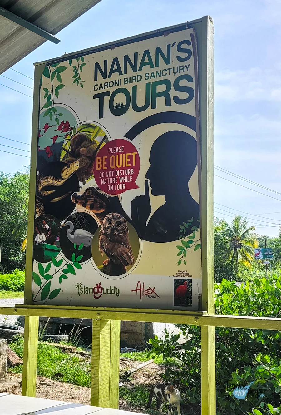 naans-tours-caroni-swamp-trinidad-and-tobago
