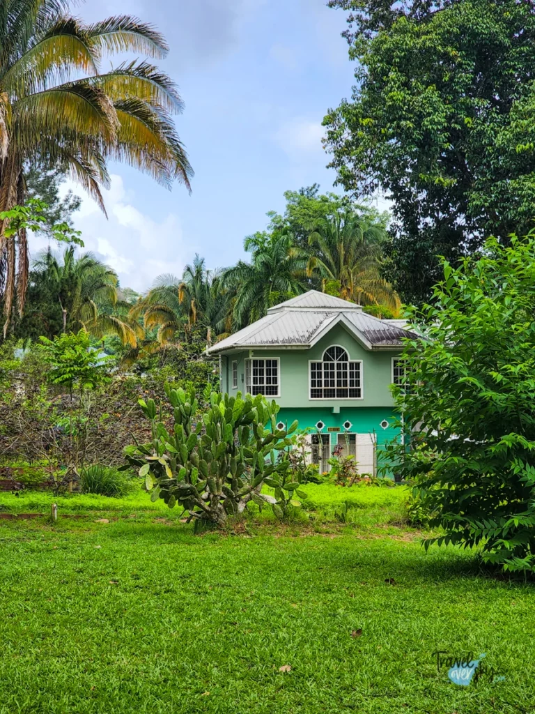 royal-botanic-gardens-port-of-spain-trinidad-and-tobago