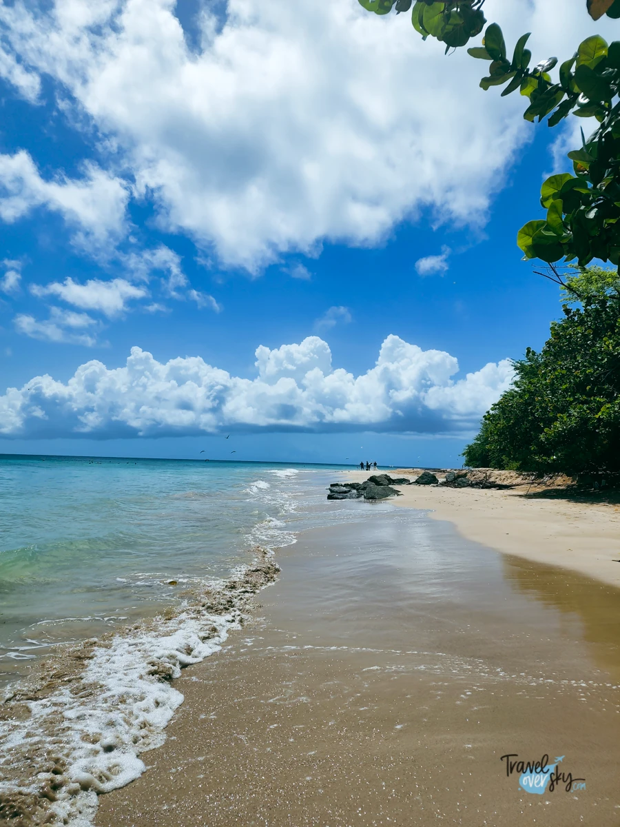 sandy-point-beach-tobago