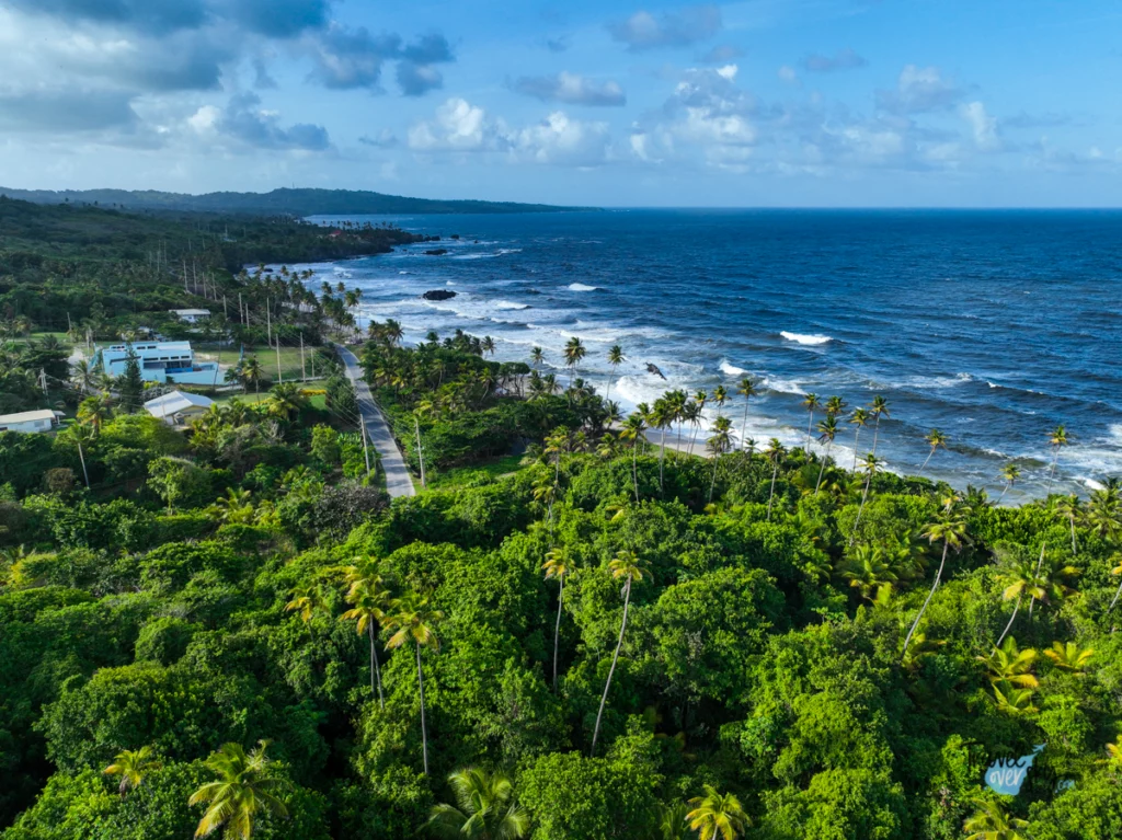 toco-trinidad-and-tobago