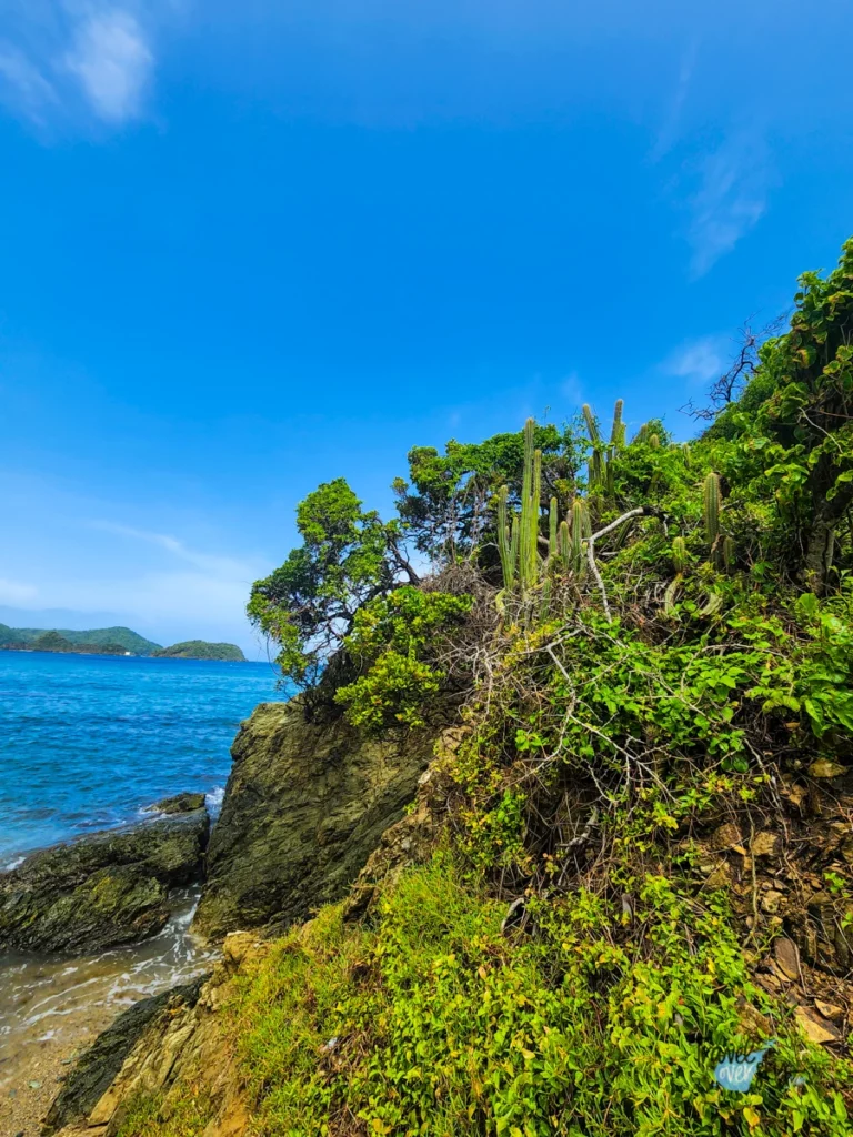 weather-trinidad-and-tobago