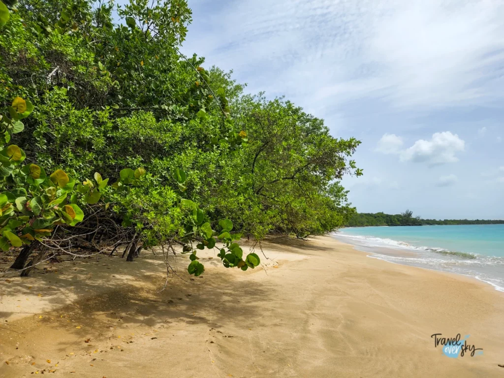 buccoo-beach-trinidad-and-tobago