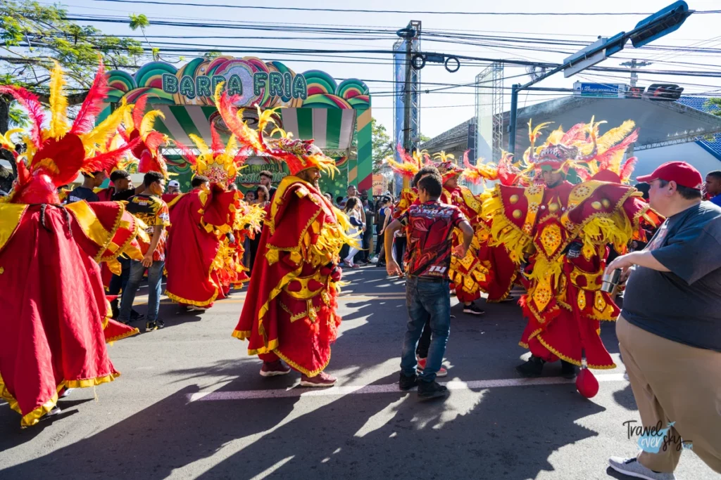 carnaval-de-la-vega-2023