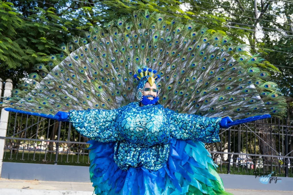 carnaval-de-santiago-2023