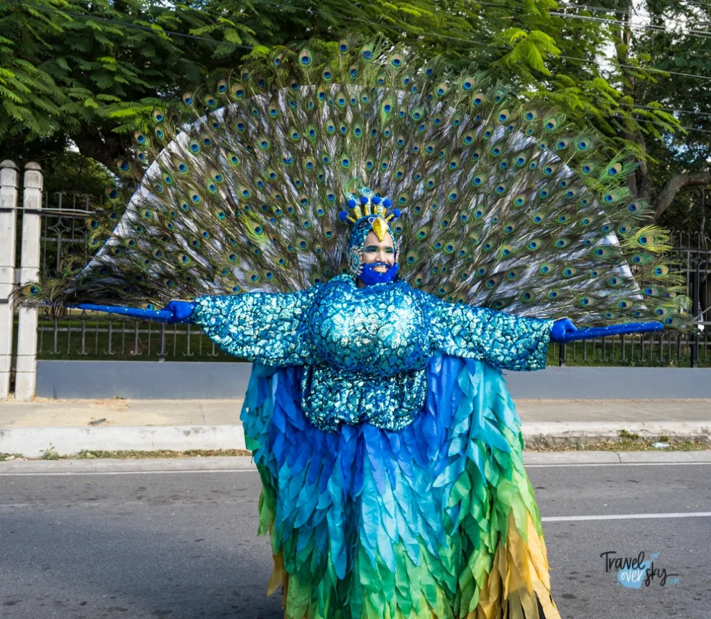 carnaval-de-santiago-2023