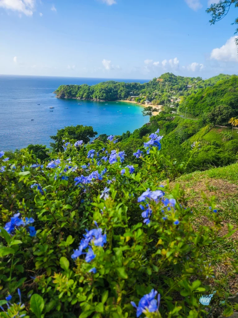 castara-trinidad-and-tobago
