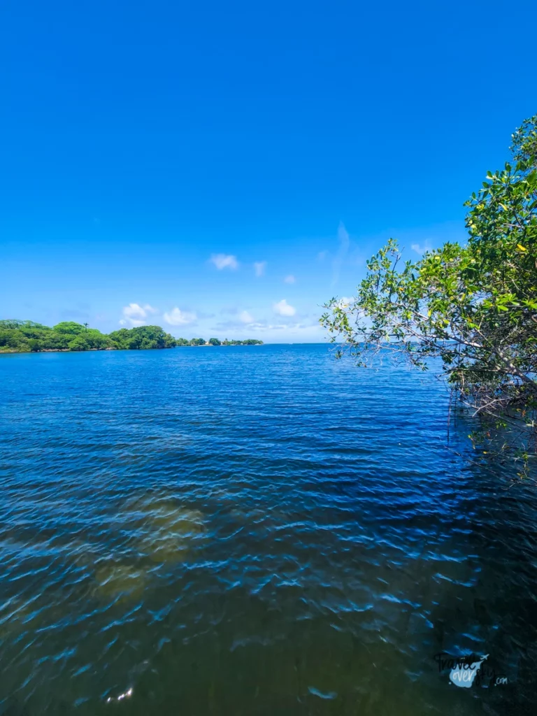 tobago-plantation-trinidad-and-tobago