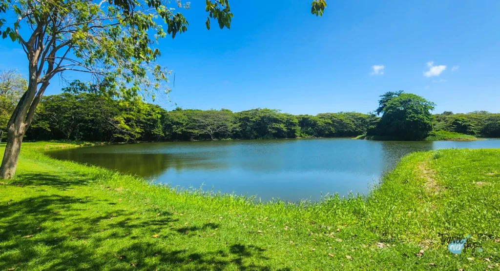 tobago-plantation-trinidad-and-tobago