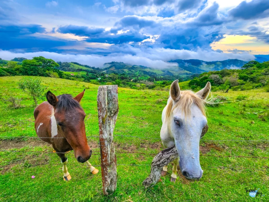 santa-elena-monteverde-costa-rica