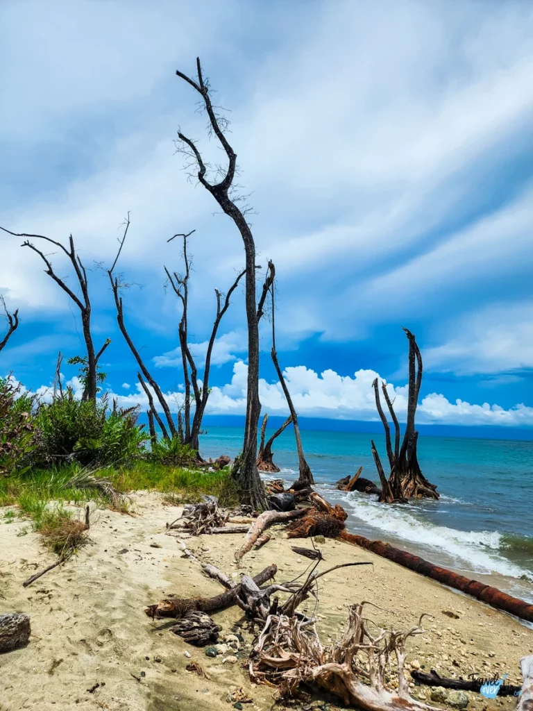 national-park-cahuita-costa-rica