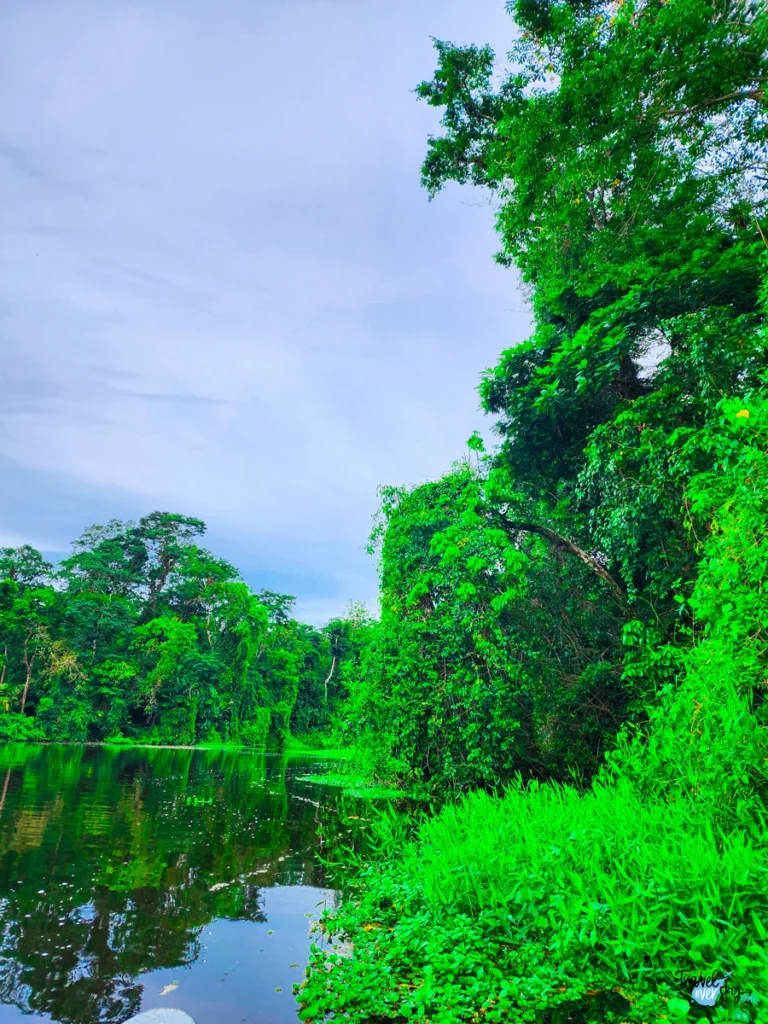 national-park-tortuguero-costa-rica