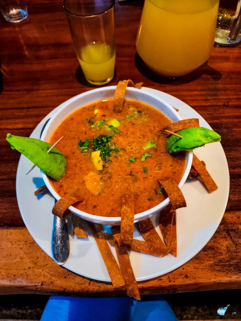 sabor-de-dona-carmen-bijagua-de-upala-costa-rica