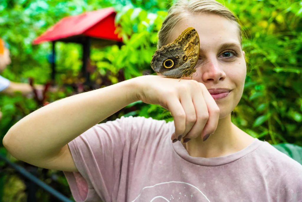 butterfly-garden-santa-elena-costa-rica