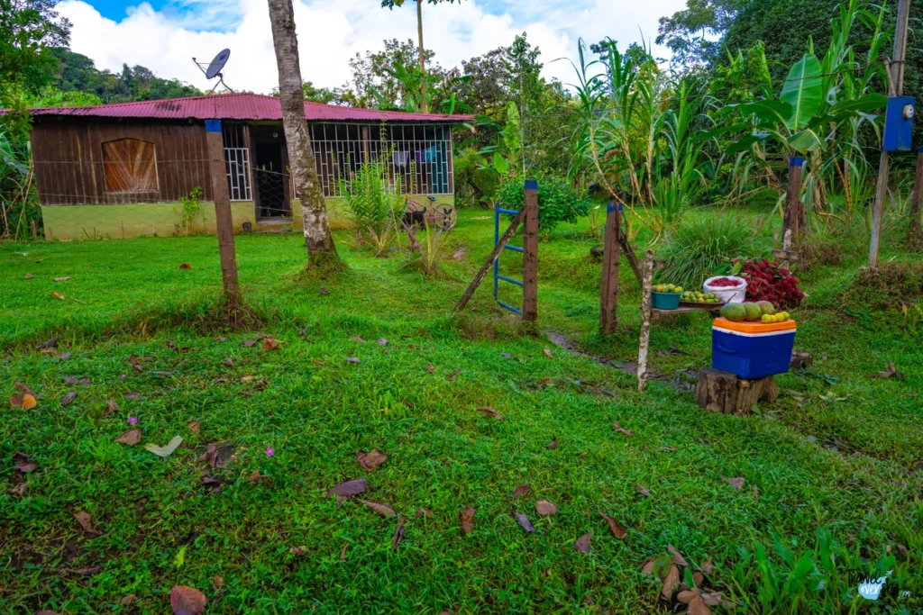 plan-podróży-do-kostaryki-corcovado-costa-rica