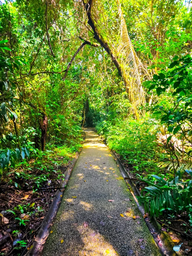 parque-nacional-manuel-antonio-costa-rica