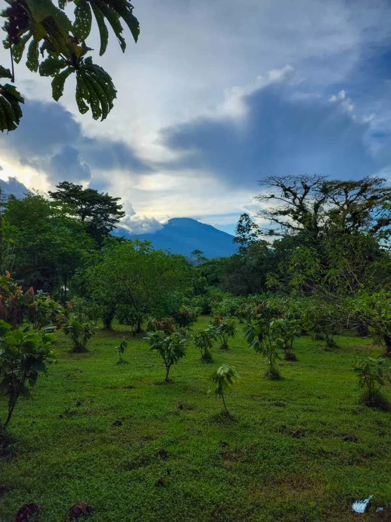 bijagua-de-upala-costa-rica