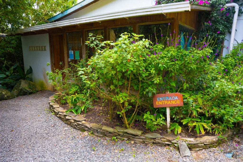 butterfly-garden-monteverde-costa-rica