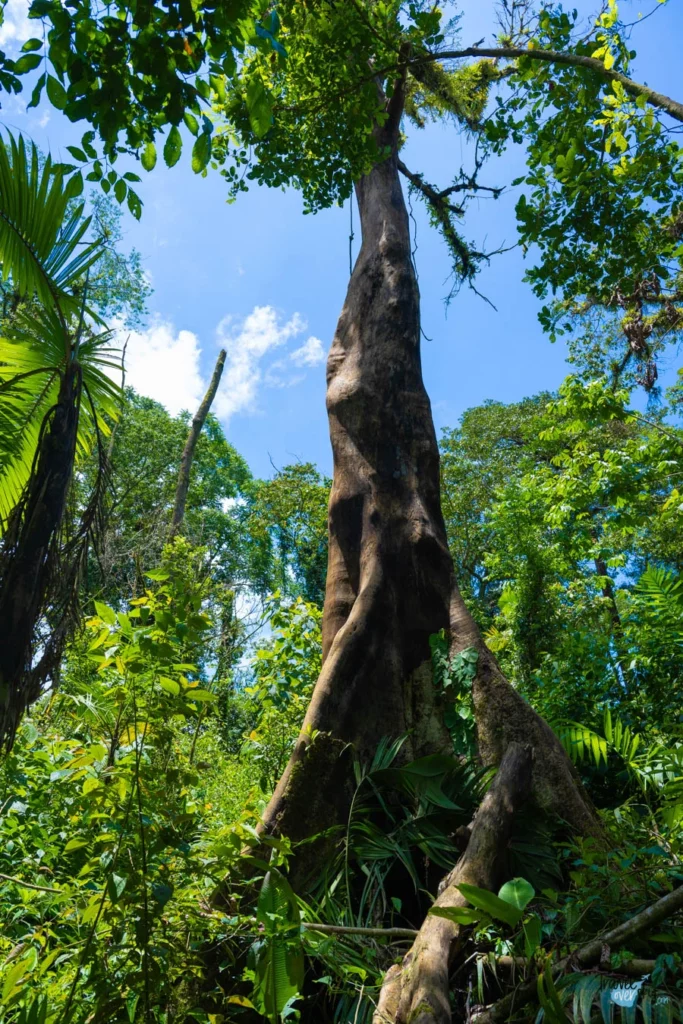 mirador-el-silencio-la-fortuna-costa-rica