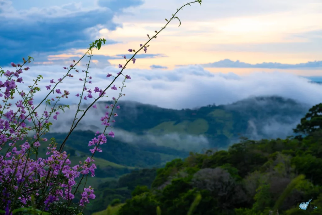 monteverde-costa-rica