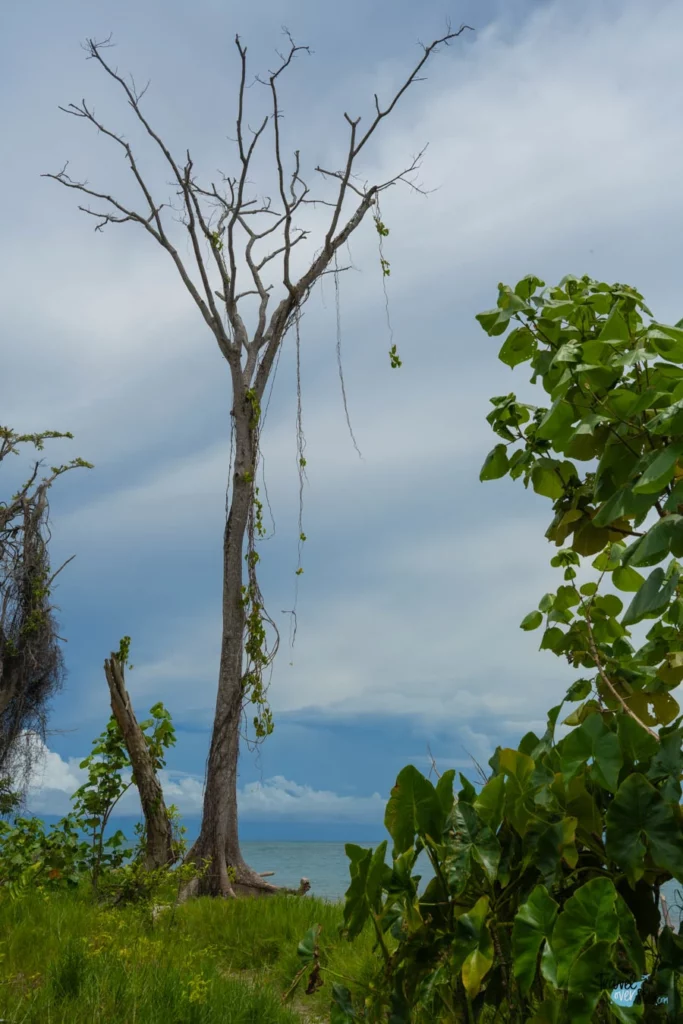 parque-nacional-cahuita-costa-rica
