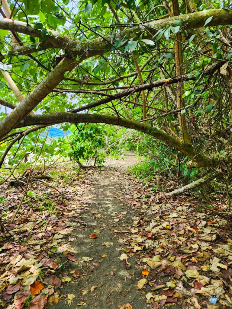 parque-nacional-cahuita-costa-rica