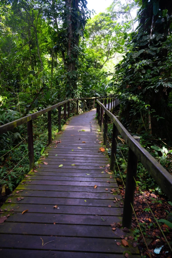 parque-nacional-cahuita-costa-rica