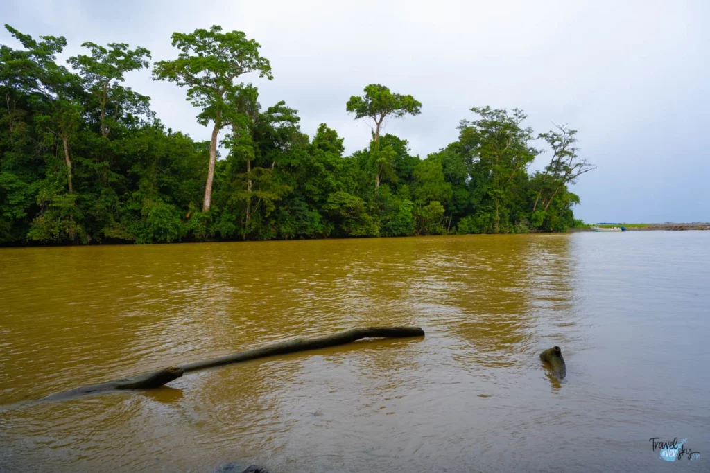 parque-nacional-corcovado-costa-rica