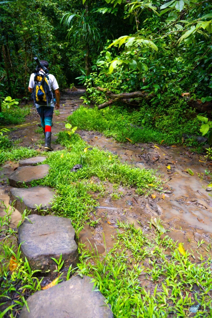 parque-nacional-corcovado-costa-rica