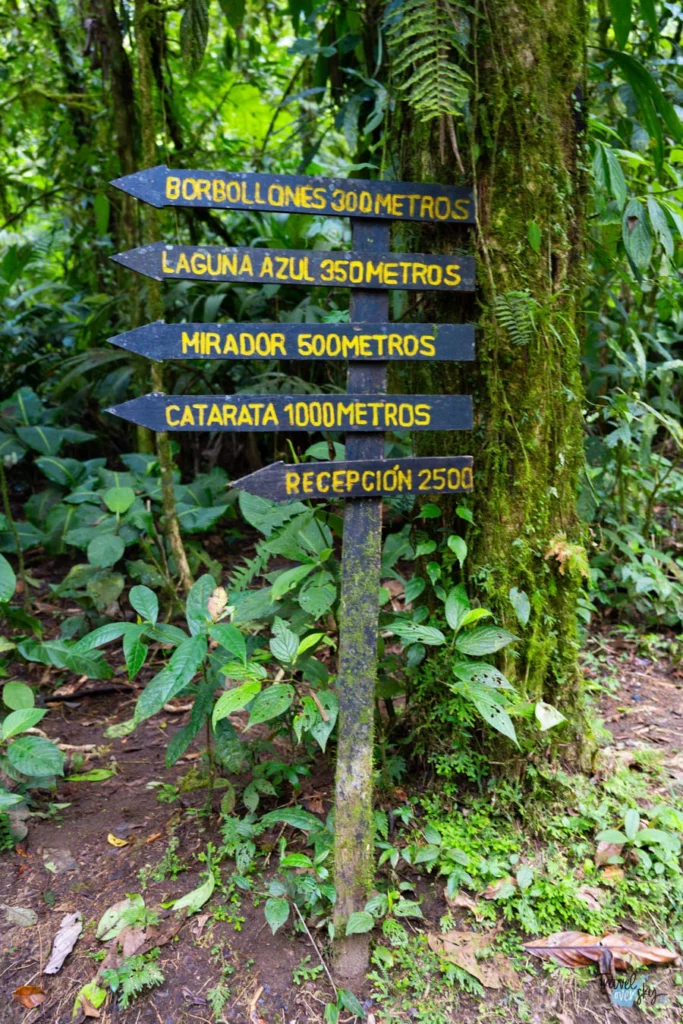 parque-nacional-el-volcan-tenorio-costa-rica