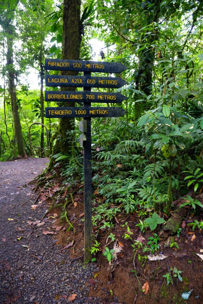 parque-nacional-el-volcan-tenorio-costa-rica