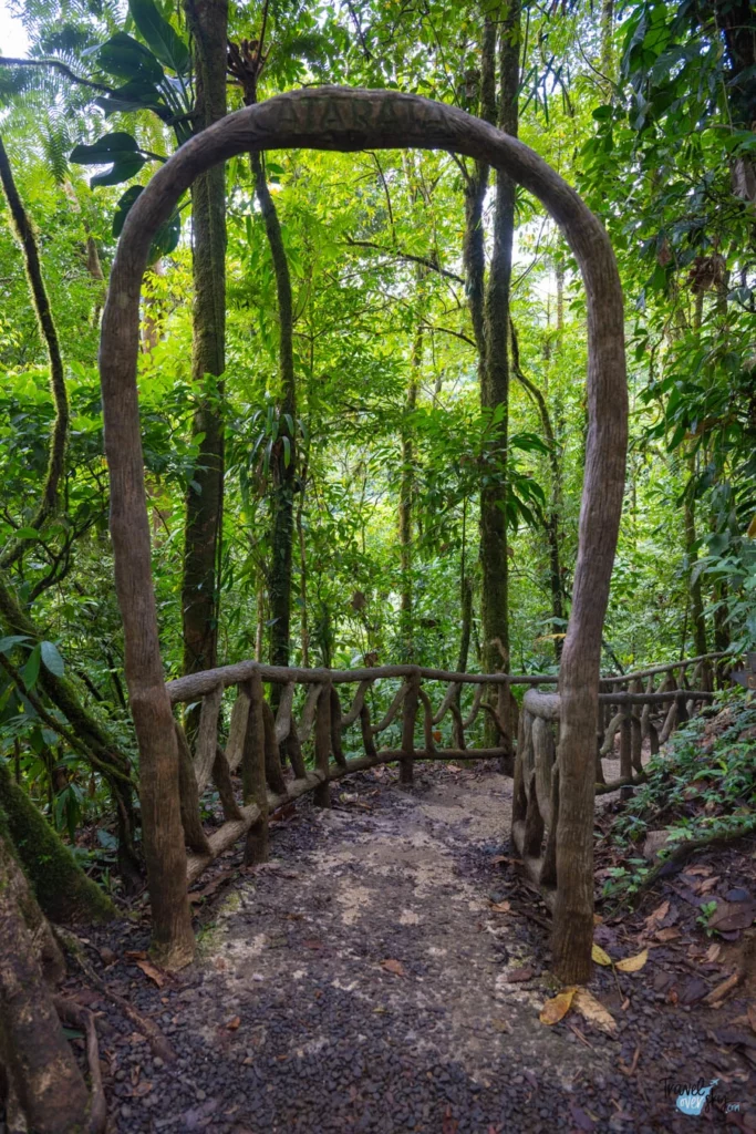 parque-nacional-el-volcan-tenorio-costa-rica