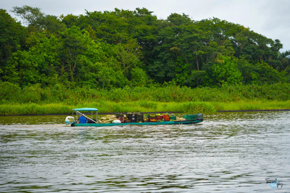 parque-nacional-tortuguero-costa-rica