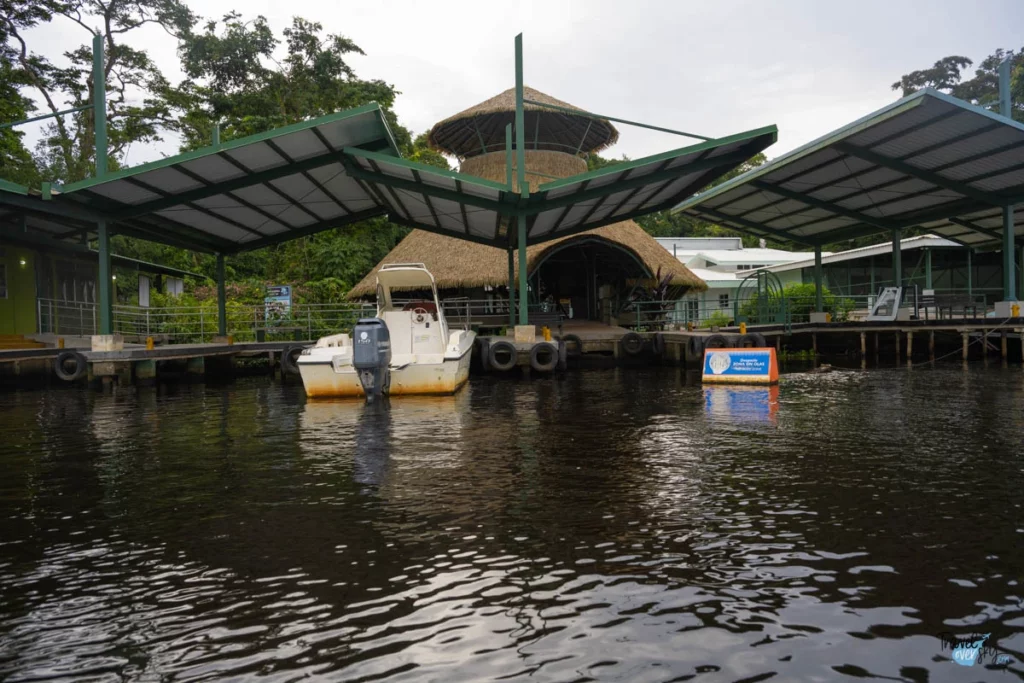 parque-nacional-tortuguero-costa-rica