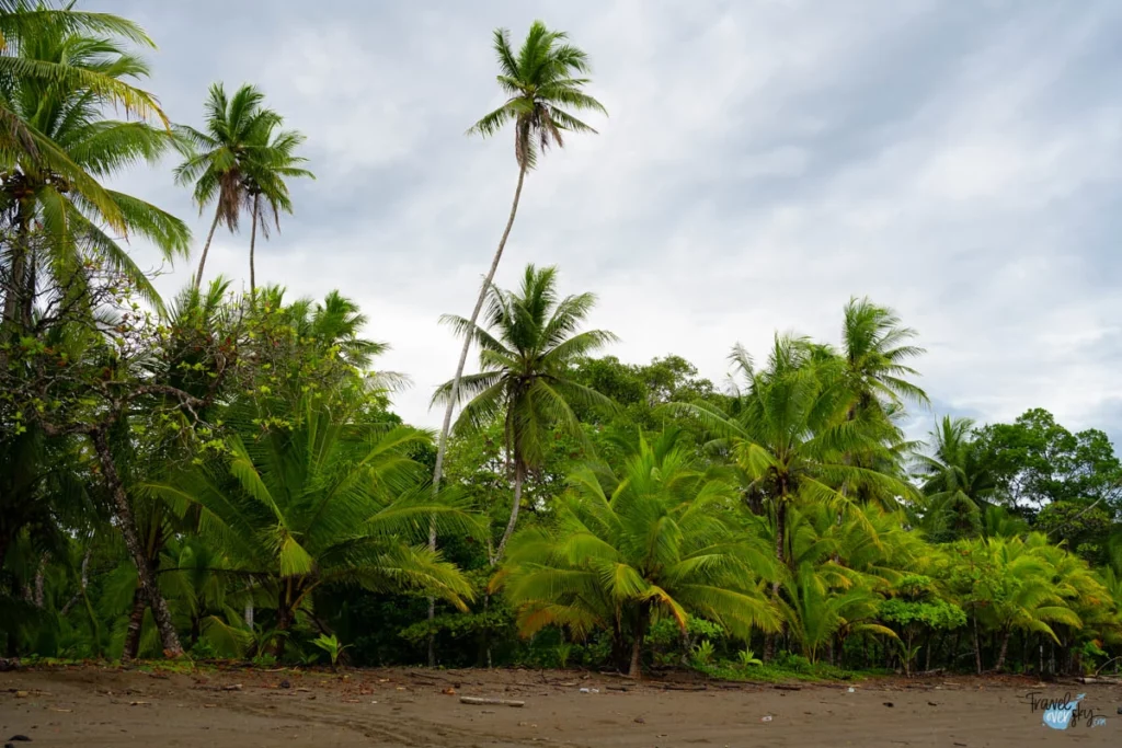 playa-rincon-corcovado-costa-rica