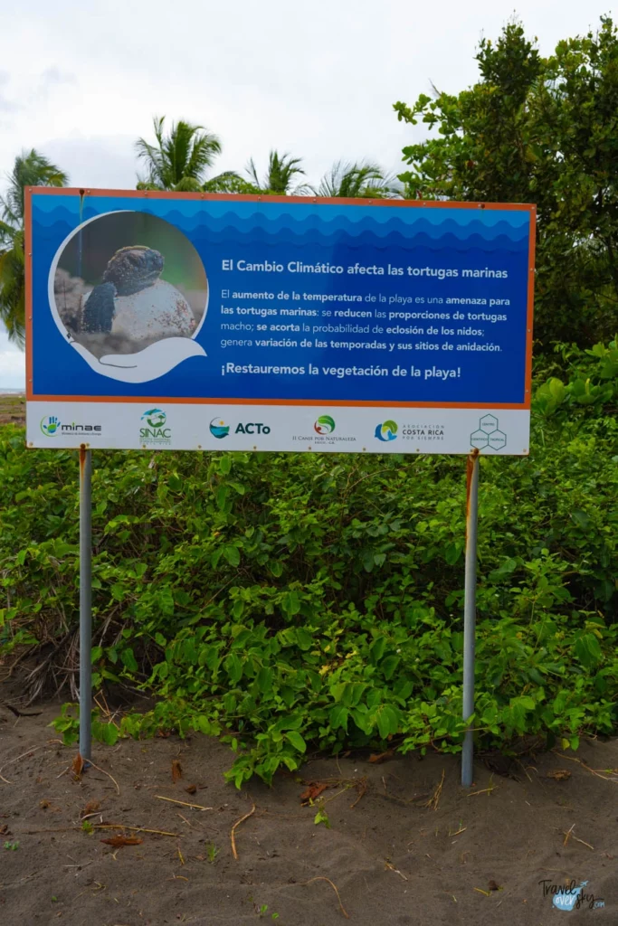 playa-tortuguero-costa-rica